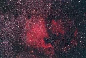 NGC 7000 - Nebulosa Nord America