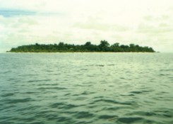 l' isola di Sipadan