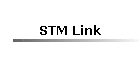 STM Link
