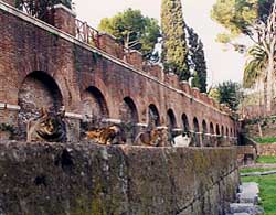 The Pyramid Cat Sanctuary in Rome.  Click to go directly to their site