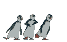 pinguini.gif (44208 byte)