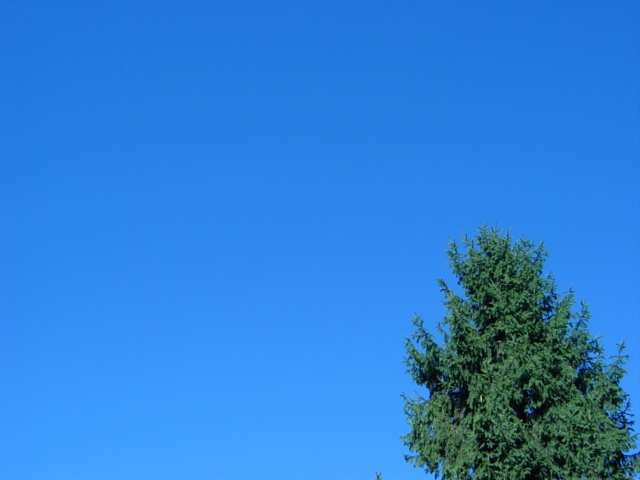 a staggering blue sky