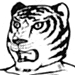 Tigre all'inizio della serie (manga)