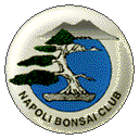 NAPOLI BONSAI CLUB (Antonio Acampora)
