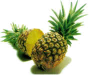 pineapple.jpg (4439 byte)