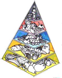 la piramide del mangiar bene